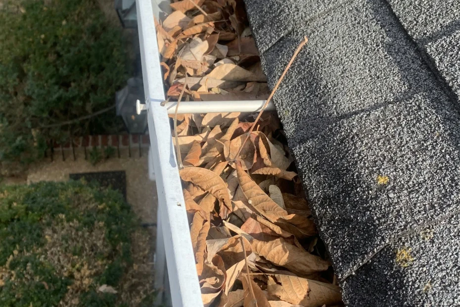 Gutter Cleaning Vinings GA